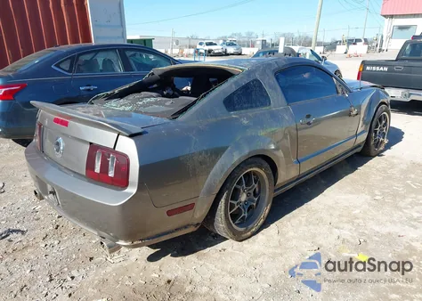 2005 Ford Mustang Gt Deluxe/Gt Premium z USA, uszkodzony, nr VIN 1ZVHT82H255200705